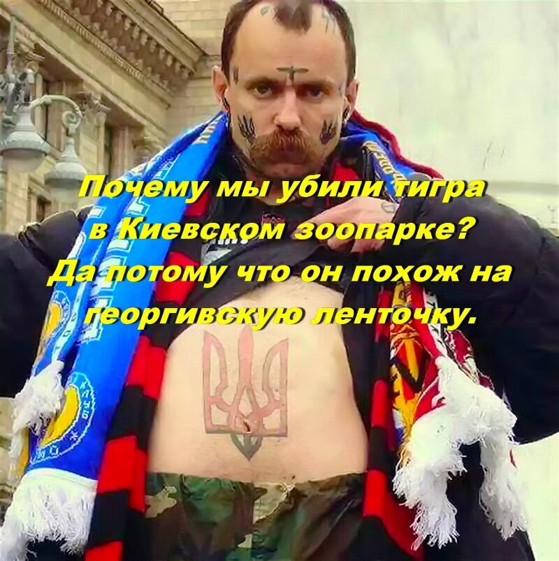 Всем, кто интересуется состоянием Пэтро Потрошенки, сообщаем:  состояние Потрошенки - огромно.