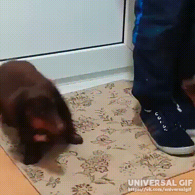 Гифки разные