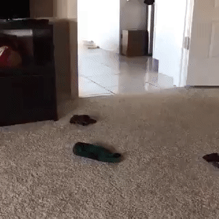 Гифки разные