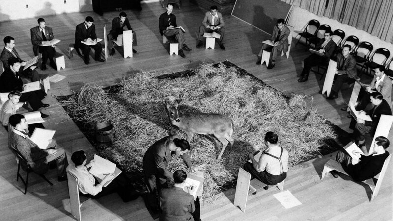 Художники Диснея изучают движения оленя перед тем, как начать работать над мультфильмом "Бэмби". 1942 год