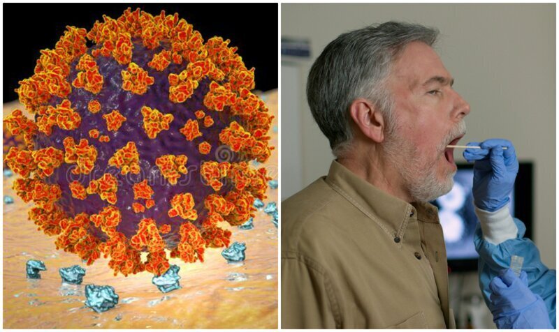 Ученые рассказали, почему мужчины чаще заражаются коронавирусом