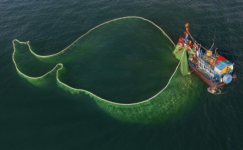 Рыбаки создают завораживающие узоры с помощью сетей