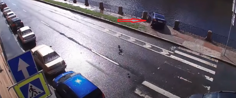 В Петербурге водитель  улетел в Фонтанку, но сумел выбраться из тонущего авто
