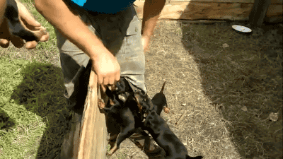 Гифки разные Гифки разные