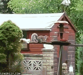 Гифки разные Гифки разные