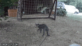 Гифки разные Гифки разные