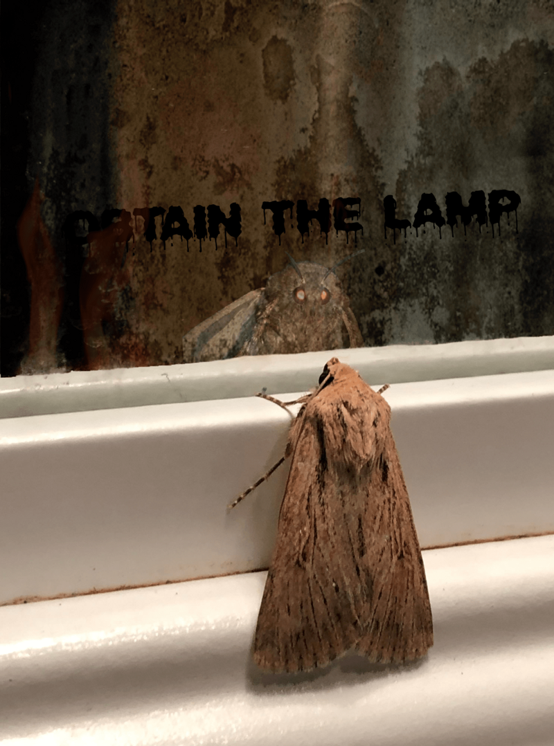 «Ты должен завладеть лампой!»