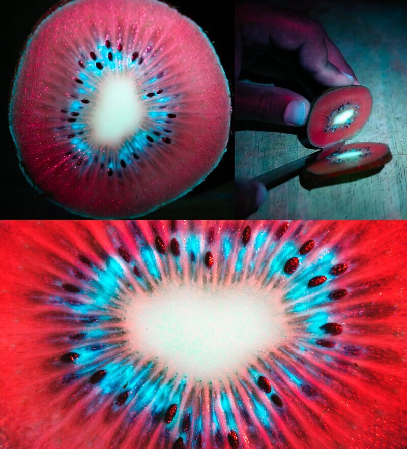 Вот так выглядит плод киви в ультрафиолете