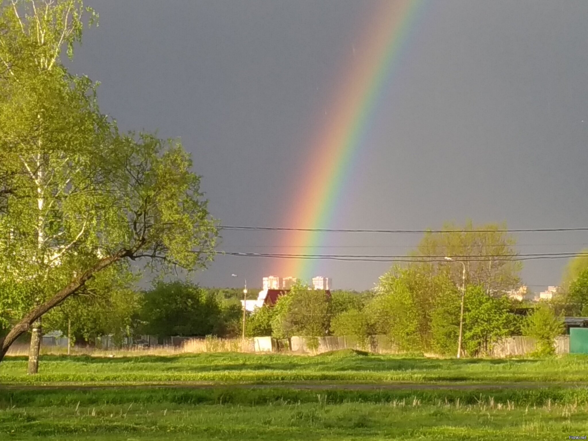 Апрелевка радуга фото апрель