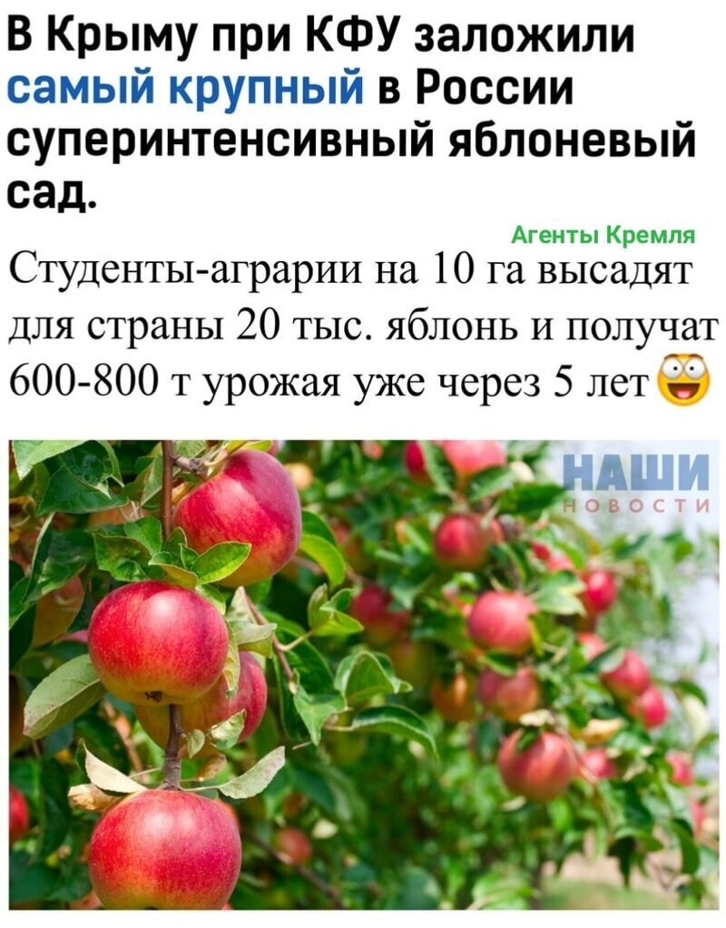Политические комментарии из инета