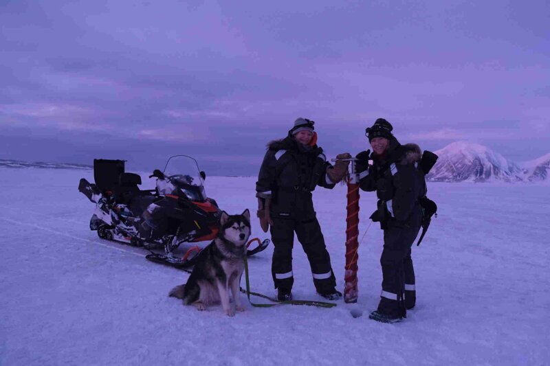 Девушки уехали в экспедицию в Арктику и застряли среди медведей