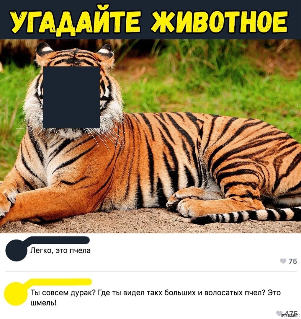 Отгадай Животное По Картинке