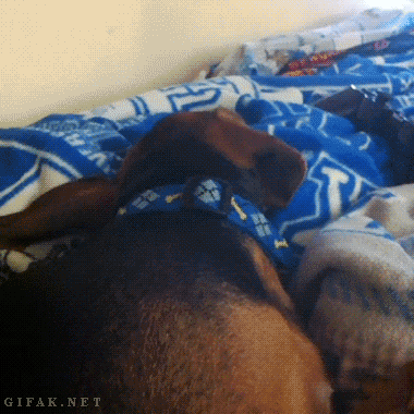 Гифки разные Гифки разные