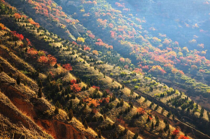Осенние пейзажи на горе Дуншань в провинции Ганьсу, 7 октября 2015 года. (Фото Chen Yonggang | Xinhua | Corbis):
