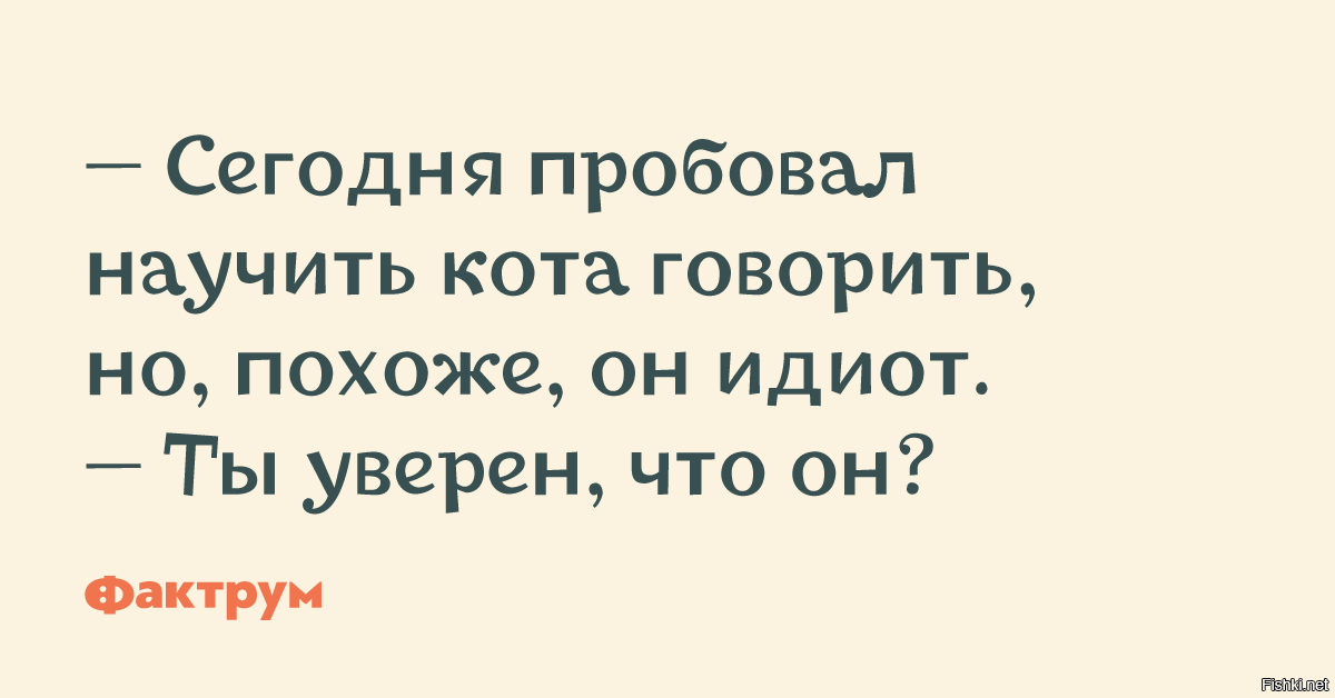 Скажи похожее. Кота учат говорить. Я что похож на идиота. Кто научил кота разговаривать?. Сегодня пробовал кота учить говорить.