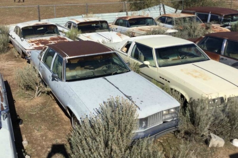 Заброшенные классические американские автомобили гниют под открытым небом больше 20 лет