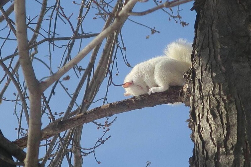 Прикольненько