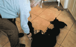 Гифки разные