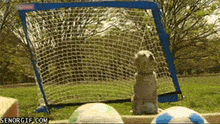 Гифки разные