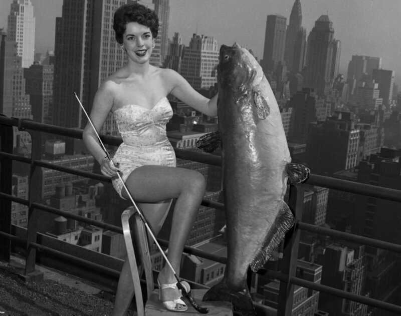 Гейл Хупер была сфотографирована с 56-фунтовым сомом, когда ей было 18 лет, после того, как она была коронована как Мисс Национальная королева сомов в 1954 году.
