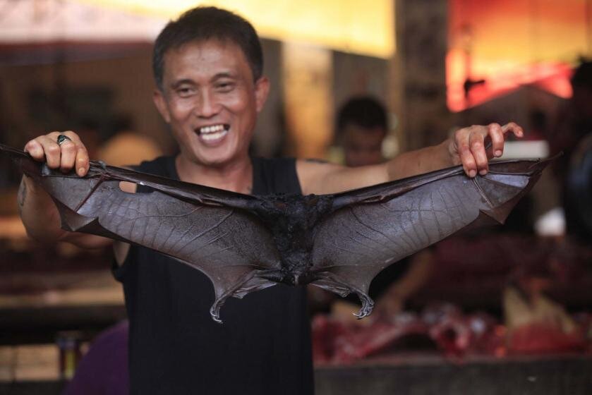 В Ухане запрещены охота, разведение и продажа мяса диких животных