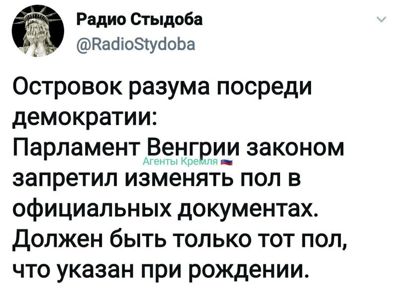 Политические комментарии из инета