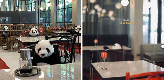 В ресторане рассадили плюшевых панд, чтобы посетители соблюдали дистанцию