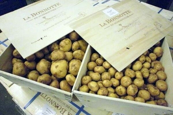 Самый дорогой картофель - 700 евро за килограмм