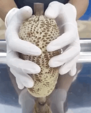 Гифки дня Гифки дня