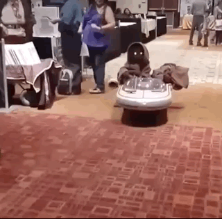 Гифки дня Гифки дня