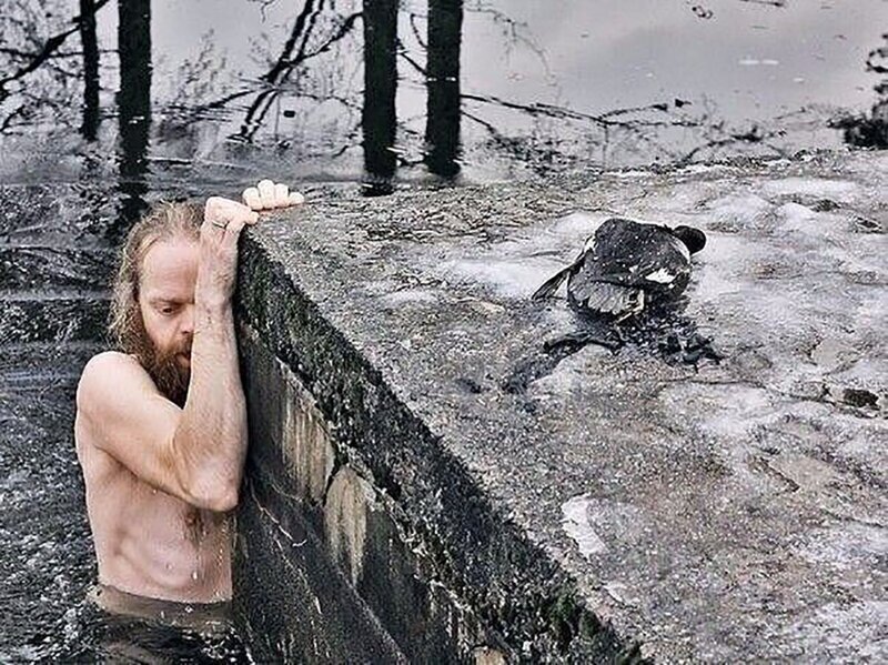 Мужчина спас утку в ледяной воде