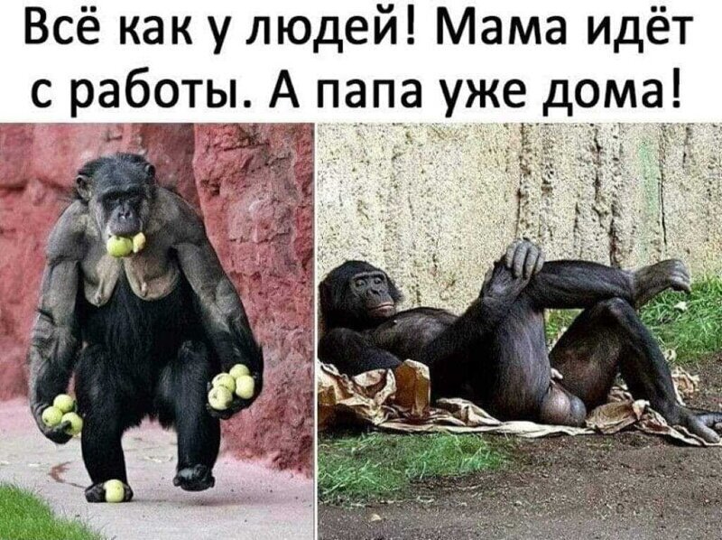 Уже дома картинки