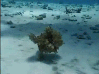 Гифки разные