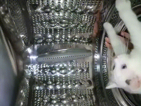 «Хьюстон, у нас проблемы»