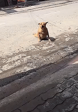 Гифки Гифки