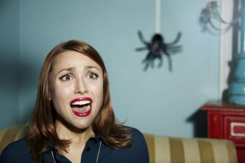 Арахнофобия — боязнь пауков.