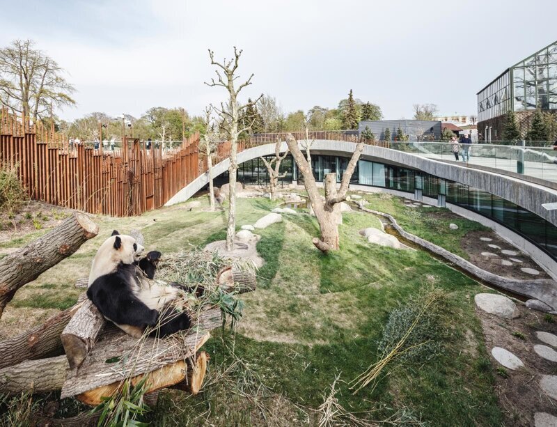 «Дом» для панд в Копенгагенском зоопарке