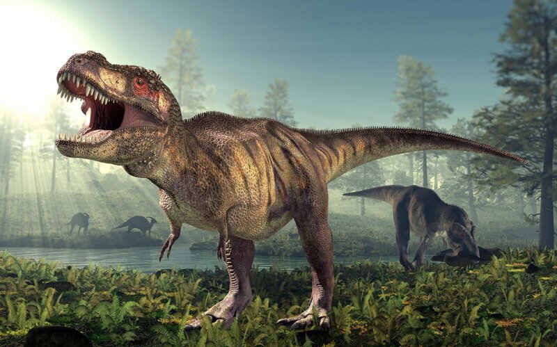 Тиранозавр жил к нам ближе по времени, чем к стегозавру