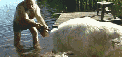 Гифки разные