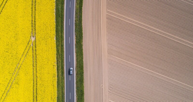 Цветные поля в Паттензене, Германия. (Фото Julian Stratenschulte):