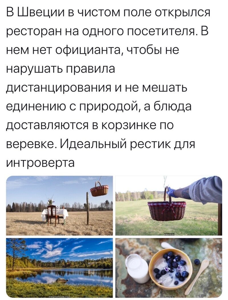 Политические комментарии из инета