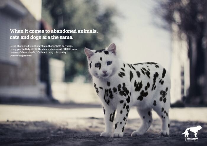 19. "Если речь идет о брошенных животных - кошки и собаки одинаковы" - реклама приюта