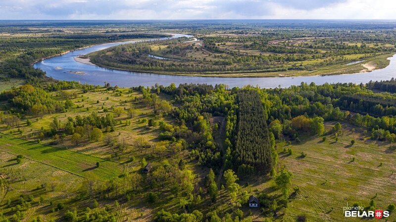 Совсем рядом с деревней протекала река Припять, во время больших разливов часть Оревич уходила под воду, и местные жители могли передвигаться только на лодках.