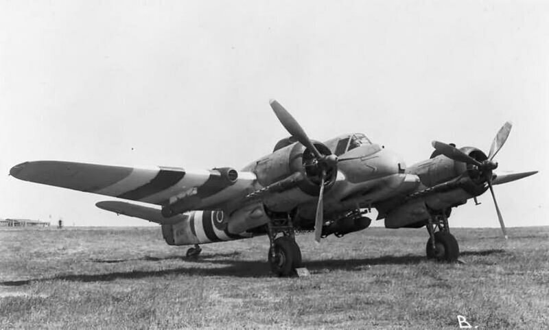 Гуляя с собакой, британцы нашли обломки самолета времен Второй мировой войны