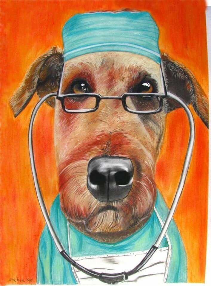 "Dr.Dog", автор Michelle Hayden-Marsan и Ханна
