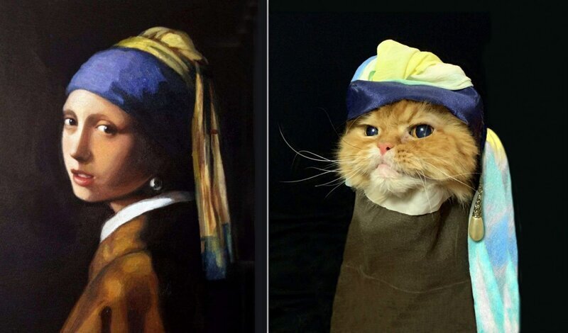 Ян Вермеер "Девушка с жемчужной сережкой" и кот Чаки