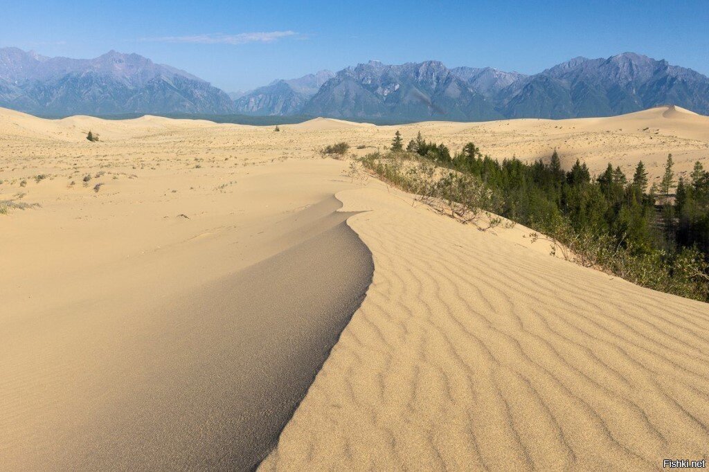 Пустыня в тайгинке фото