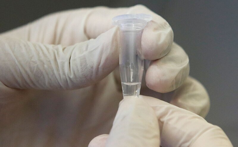 В «Векторе» разработали вакцину от коронавируса для закапывания в нос