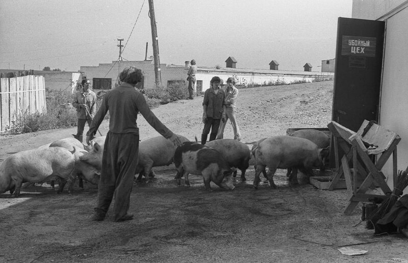 Реальность в документальных фотографиях Владимира Воробьева