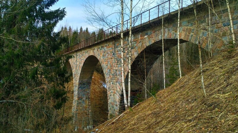 Мост на неиспользуемом участке Новгород—Крестцы.